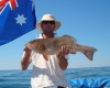 aussie flag trout